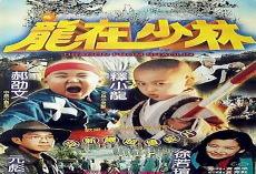 龙在少林电影免费观看
