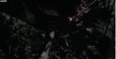 致命弯道7无删节完整版