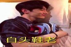 白敬亭高清图片