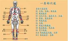 五脏六腑图片 位置图
